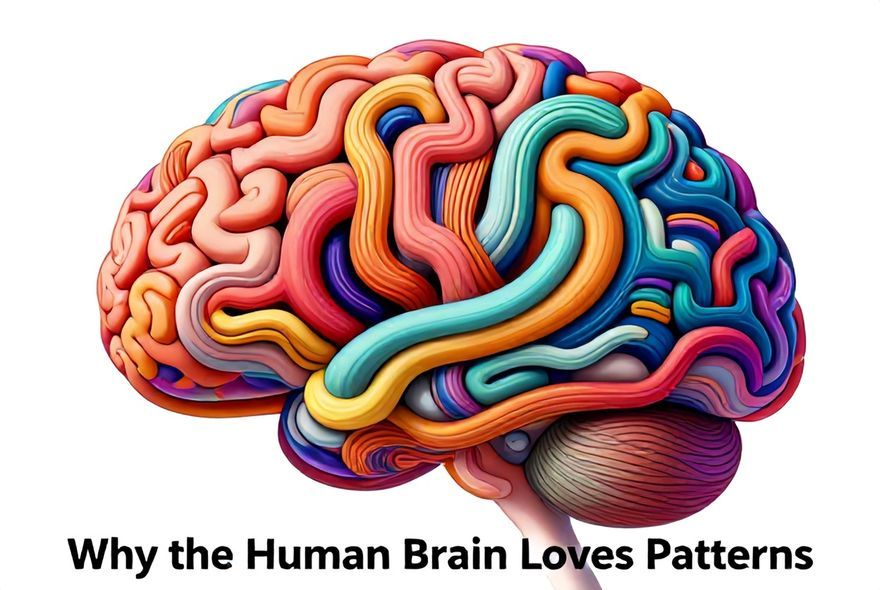 Why the Human Brain Loves Patterns