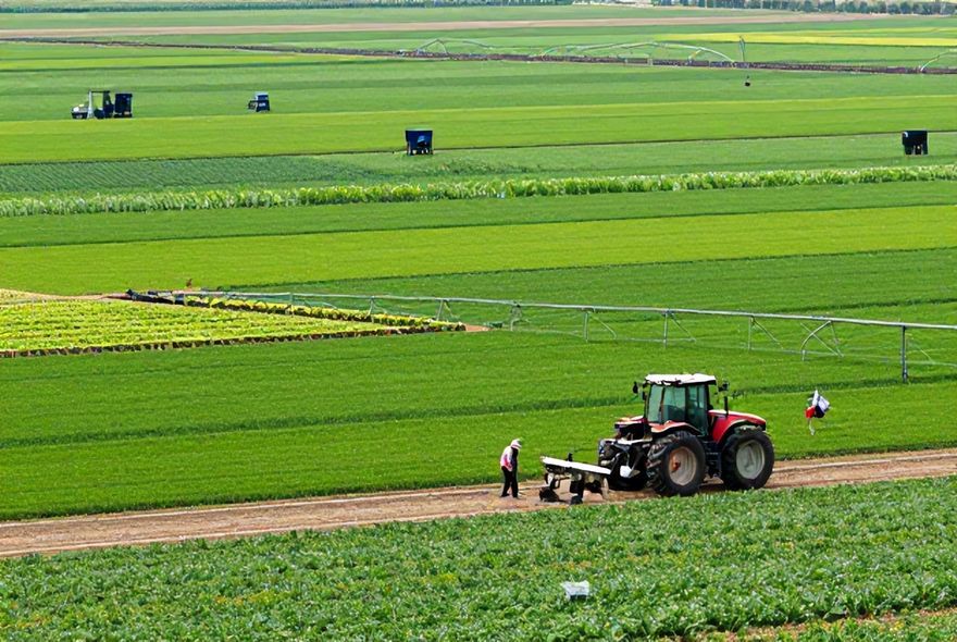 Why The Green Revolution Changed Farming Forever (And What’s Next)