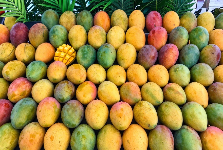 mango