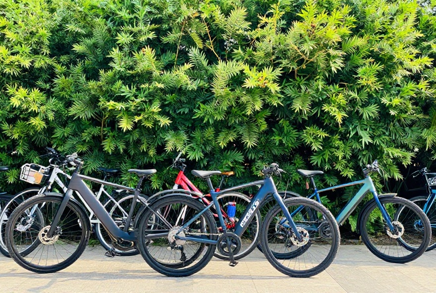 Best Ways to Choose E20-Compatible Bikes for Budget Riders